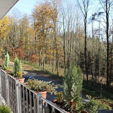 Pension Walddorf Winterberg Bagian luar foto