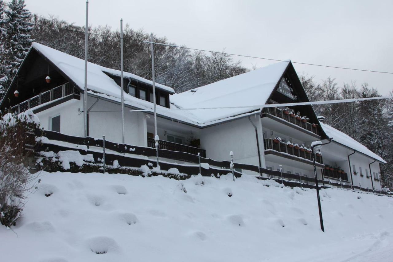 Pension Walddorf Winterberg Bagian luar foto