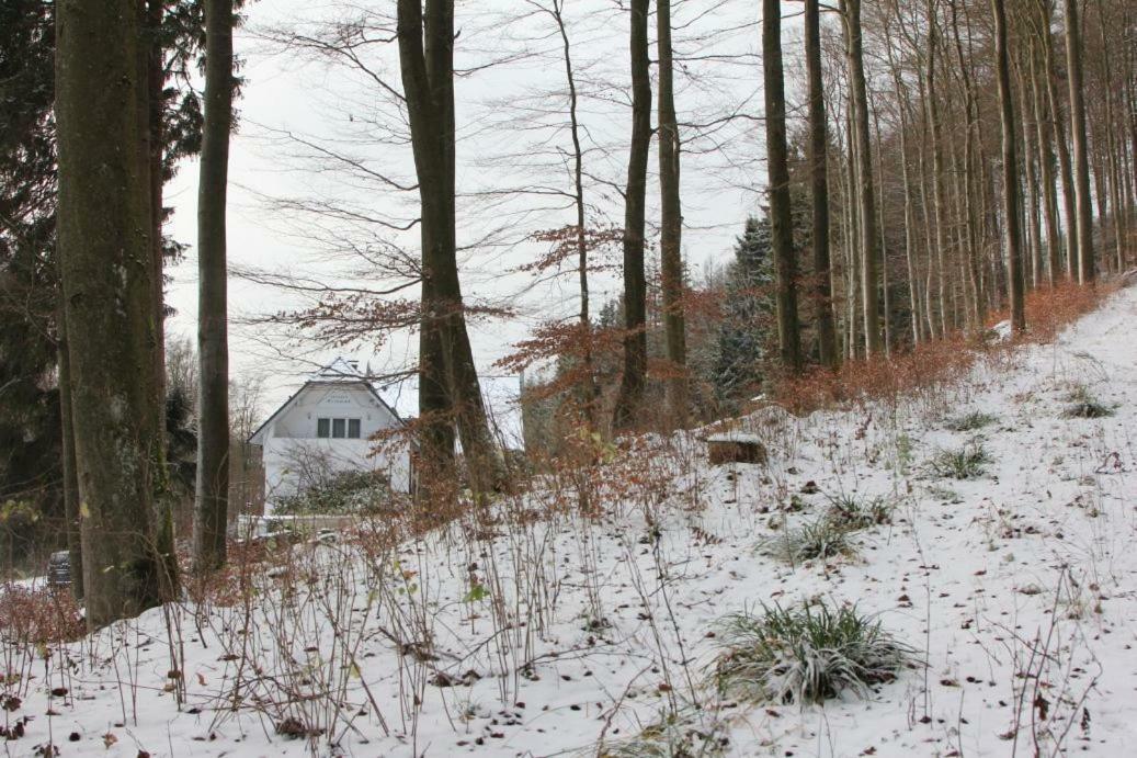 Pension Walddorf Winterberg Bagian luar foto