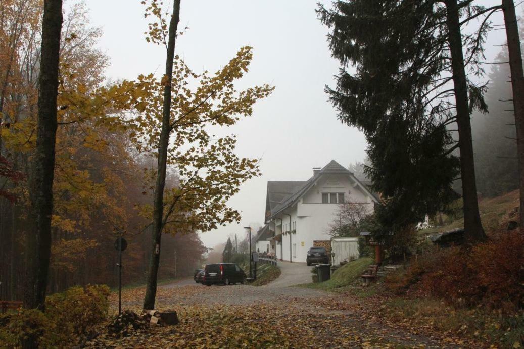 Pension Walddorf Winterberg Bagian luar foto