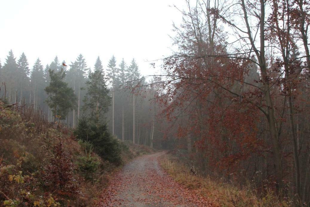 Pension Walddorf Winterberg Bagian luar foto